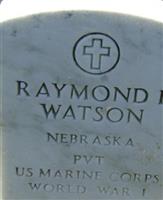 Raymond E. Watson