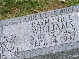 Raymond E Williams Raymond E Williams