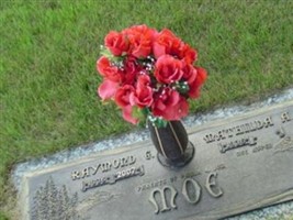 Raymond Gene Moe