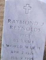 Raymond J Reynolds