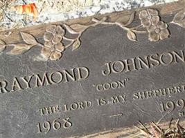 Raymond Johnson, Jr