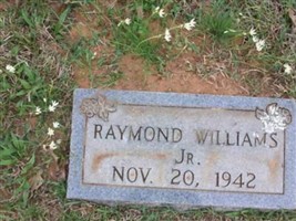 Raymond L. Williams, Jr Raymond L. Williams, Jr