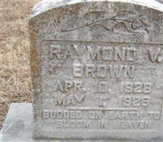 Raymond V. Brown