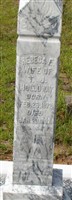 Rebeca E. Holloway Rebeca E. Holloway