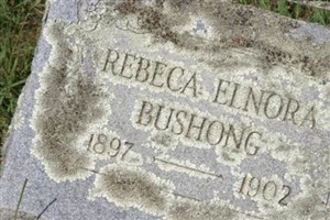 Rebeca Elnora Bushong Rebeca Elnora Bushong