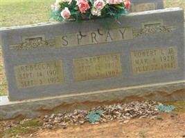 Rebeca L Spray