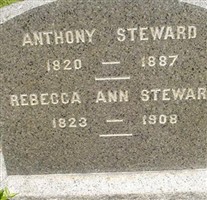 REBECCA ANN STEWARD