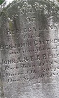 Rebecca Jane Pilcher Cottrell Rebecca Jane Pilcher Cottrell