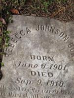 Rebecca Johnson Burt