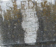 Rebecca Sledge