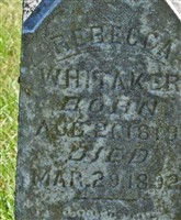 Rebecca Whitaker