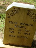 Reena Michella Berrong Reena Michella Berrong