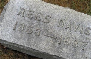 Rees Davis