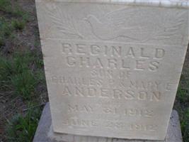 Reginald Charles Anderson