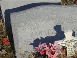Reginald J. "Reggie B." Bannister