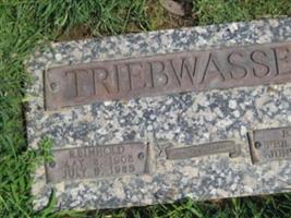 Reinhold Triebwasser