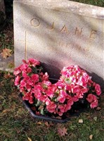 Reino Ojanen Reino Ojanen