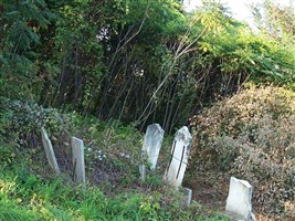 Remsen Bush Cemetery