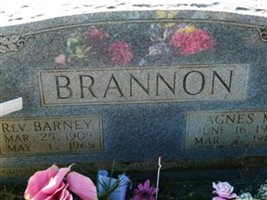 Rev Barney Brannon