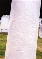 Rev David Hervey