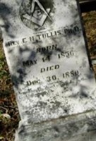 Rev E. N. Tullis