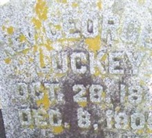 Rev George J Luckey