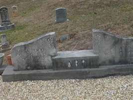 Rev J. M. Arp