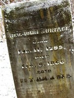 Rev John Surface