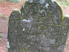 Rev Matthias Plant