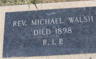 Rev Michael Walsh