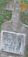 Rev P Aloysius Baumgaertner