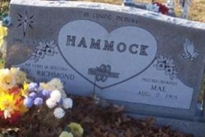Rev Richmond Hammock Rev Richmond Hammock