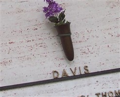 Rev Thomas E. Davis
