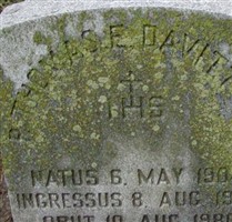 Rev Thomas F Davitt