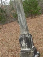 Rev William H. Wills