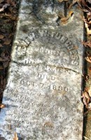 Rev W. W. Funchess Rev W. W. Funchess