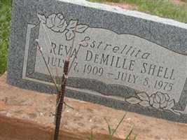 Reva Demille Shell Reva Demille Shell