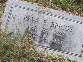 Reva E Briggs