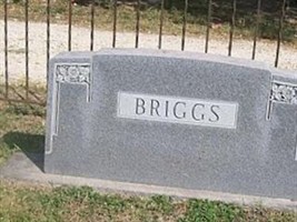 Reva E Briggs