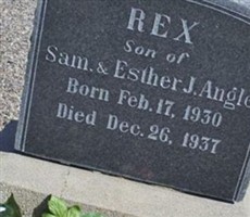 Rex Angle Rex Angle