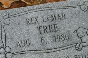 Rex Lamar Tree Rex Lamar Tree
