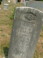 Rhoda S. Bollinger Rhoda S. Bollinger