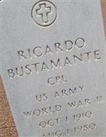 Ricardo Bustamante