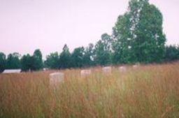 Rice Family Cemetery