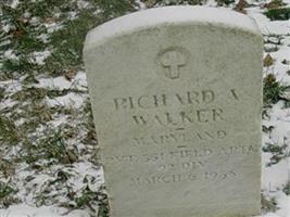 Richard A Walker