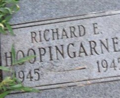 Richard E Hoopingarner