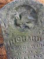 Richard George Ward