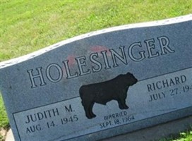 Richard J Holesinger Richard J Holesinger