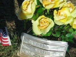 Richard P. Dulin Richard P. Dulin