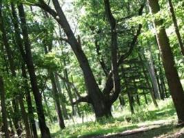 Riley Hill Road Cemetery